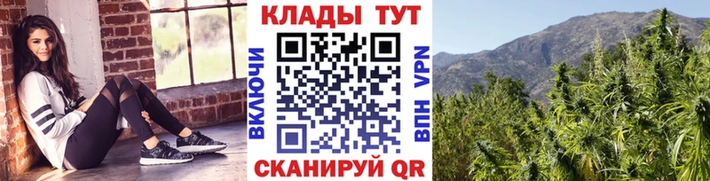 Где найти наркотики Нестеров OMG вход  СОЛЬ  Гашиш  Мефедрон  Конопля 