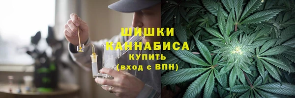 мет Бородино