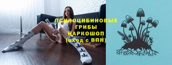 гашик Богданович